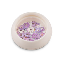 CJP Purple Flower Pot.jpg