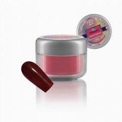 308 Thermo Red Claret 10g Pot With Nail MASTER800x800.jpg
